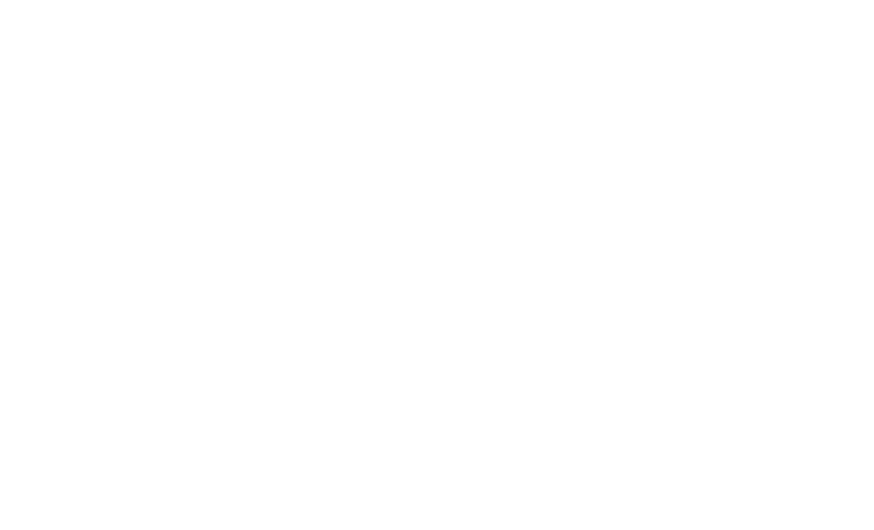 Logotipo PIB
